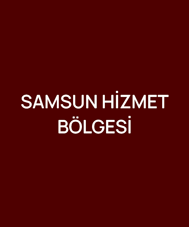 SAMSUN HİZMET BÖLGESİ