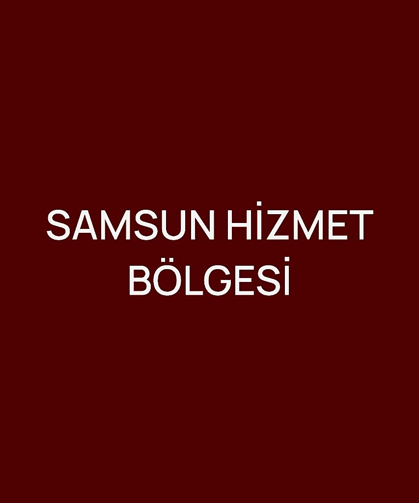 SAMSUN HİZMET BÖLGESİ